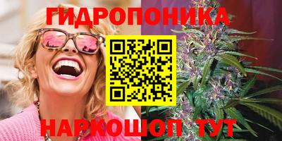 скорость Можга